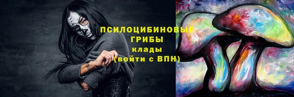 крисы Коряжма
