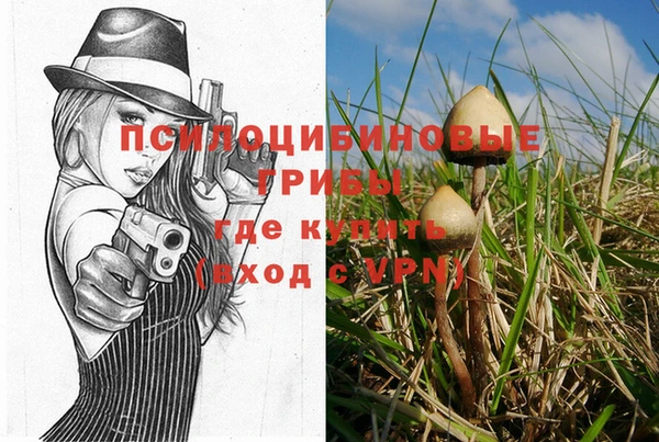 прущие крисы Козловка