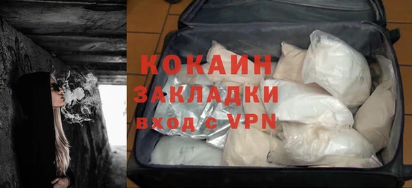 крисы Коряжма