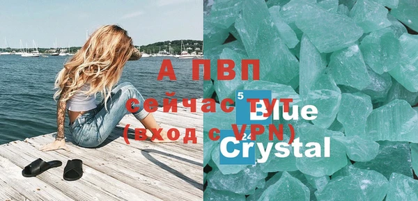 крисы Коряжма