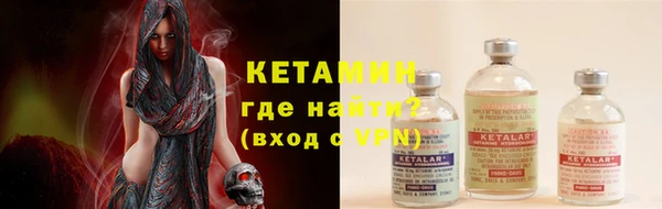 крисы Коряжма
