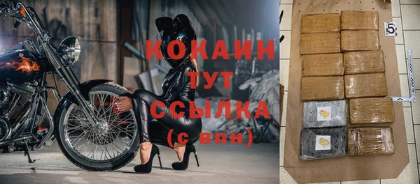 каннабис Корсаков