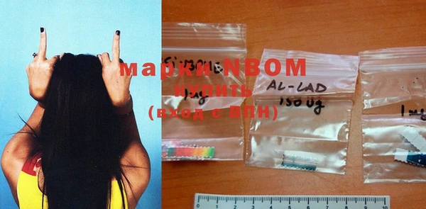 крисы Коряжма