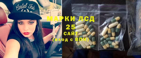 крисы Коряжма