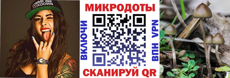 дарк нет какой сайт  где найти   Нолинск  Псилоцибиновые грибы ЛСД 